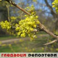 Гледаоци репортери (2. март 2014)