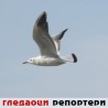 Гледаоци репортери (3. март 2014)