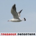 Гледаоци репортери (3. март 2014)