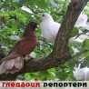 Гледаоци репортери (5. март 2014)
