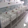 Родитељи траже закон о несталим бебама