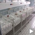 Родитељи траже закон о несталим бебама