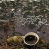 Оптужбени предлози због загађења воде