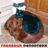 Гледаоци репортери (12. март 2014)