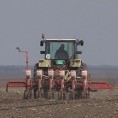 Почела сетва шећерне репе