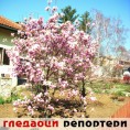 Гледаоци репортери (24. март 2014)