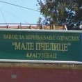 Епидемија у крагујевачком дому "Мале пчелице"