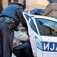 Зајечар, приведени због кријумчарења људи