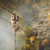 Непалски ловци на мед из „златних кошница“