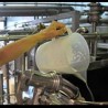 Ускоро враћање афлатоксина на 0,05 микрограма