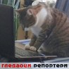 Гледаоци репортери (2. април 2014)