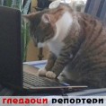 Гледаоци репортери (2. април 2014)