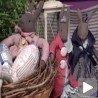 Лутке за све генерације