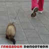 Гледаоци репортери (5. април 2014)