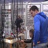 Сајам лова и риболова у Нишу