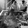 Прослава у кади, има ли шта боље?