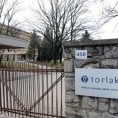Самарџић: Вакцинација Торлаковим вакцинама