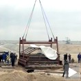 Вика пресељена после 4.000.000 година!