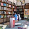 Маћехински према матерњем језику