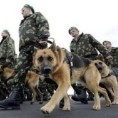 У средишту пажње
