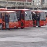 Нови аутобуси Ниш-експресa