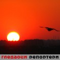 Гледаоци репортери (21. април 2014)
