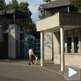 Вук повредио девојчицу у Зоолошком врту