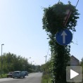 Погрешни знакови поред пута