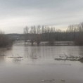Романо Тхем