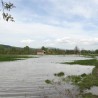 Поплаве неће утицати на укупне билансе хране?