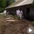 Бујице однеле велики број животиња
