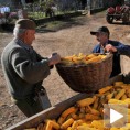Пољопривредници чекају помоћ