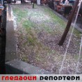 Гледаоци репортери (27. мај 2014)