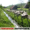Гледаоци репортери (1. јун 2014)
