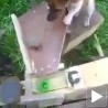 Шта се деси кад инжењер има пса...