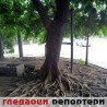 Гледаоци репортери (9. јун 2014)
