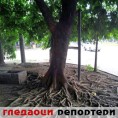 Гледаоци репортери (9. јун 2014)