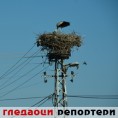 Гледаоци репортери (14. јун 2014)