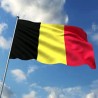 Застава Белгије већ 183 године обрнута!