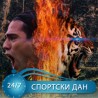 Ипак није лав... "тигар" је "краљ"!
