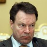 Илка Канерва нови председник ПС ОЕБС-а