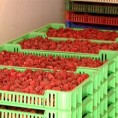 Малинари траже 2,20 евра за малину