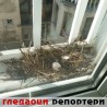 Гледаоци репортери (22. јул 2014)