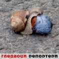 Гледаоци репортери (29. јул 2014)