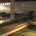 Ужице, вода за пиће највероватније у петак
