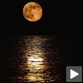 Драматична ноћ: Супер-Месец и киша метеора!