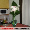 Гледаоци репортери (18. август 2014)