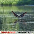 Гледаоци репортери (19. август 2014)
