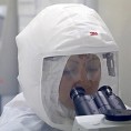 Тестови на еболу у Аустрији негативни