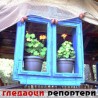 Гледаоци репортери (21. август 2014)